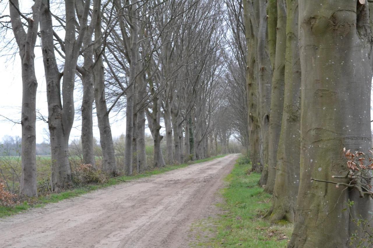 Vila Wildwestruurlo Exteriér fotografie